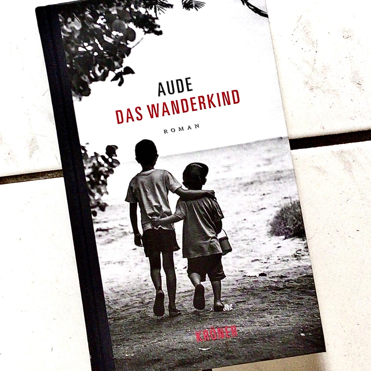 „Das Wanderkind“ von Aude