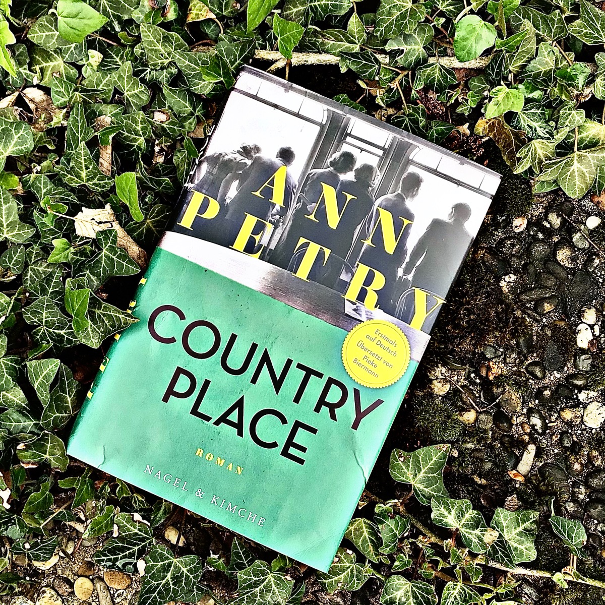 „Country Place“ von Ann Petry