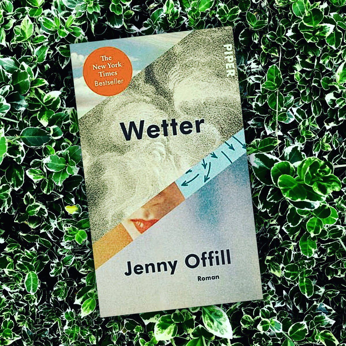 „Wetter“ von Jenny Offill