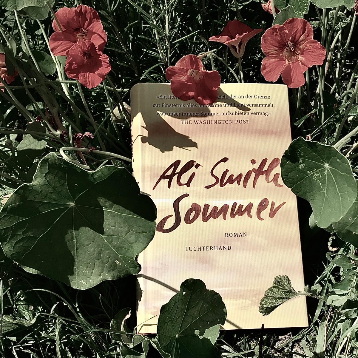 „Sommer“ von Ali Smith